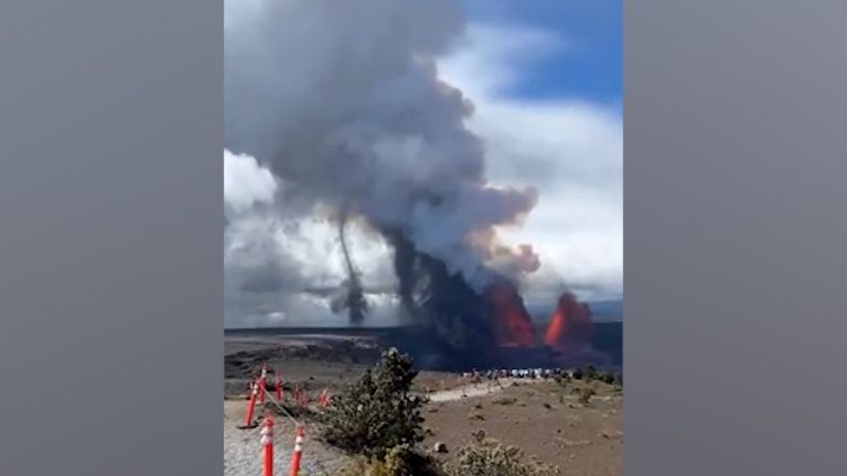 V blízkosti sopky Kilauea se ukázal vzácný rarášek